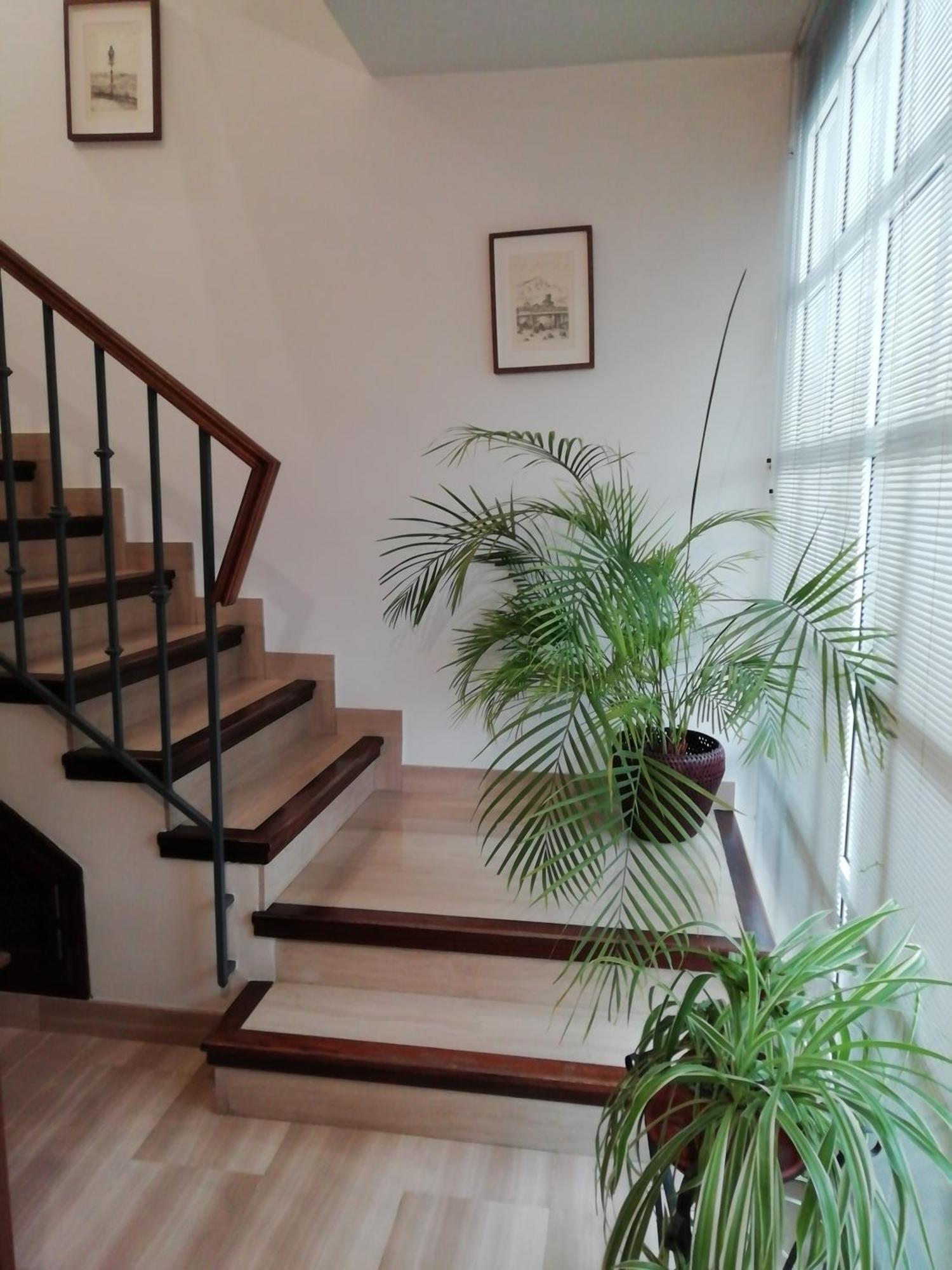 Casa Caballero De La Rosa ปรีเอโก เด กอร์โดบา ภายนอก รูปภาพ